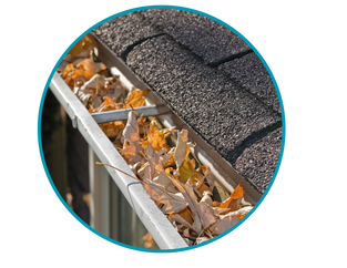 Gutter cleaning Denton Maryland